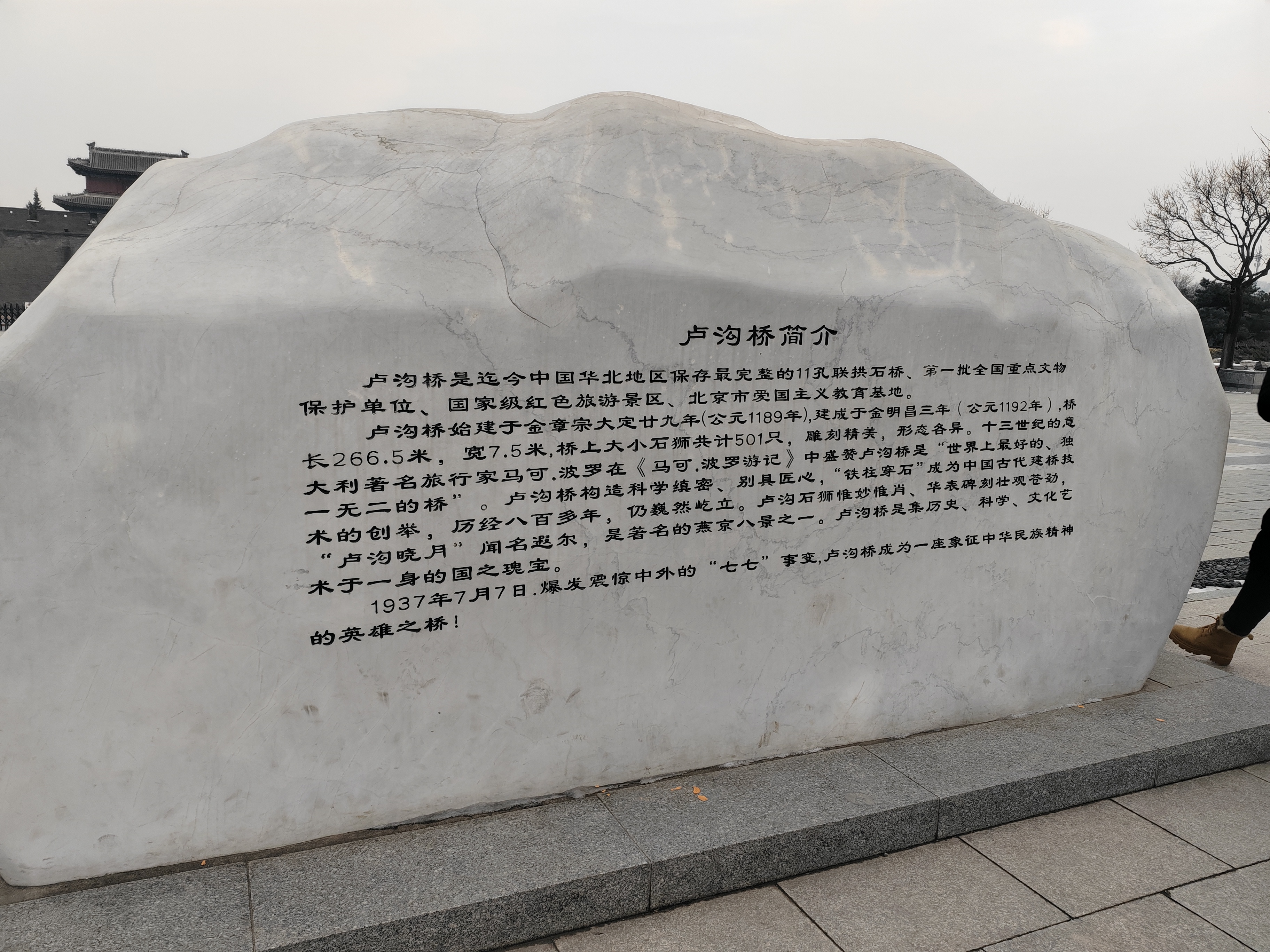 6594d7c6c0ad2.jpg