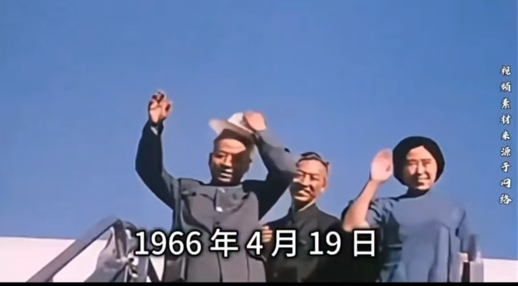 69a01e8d31baa.jpg